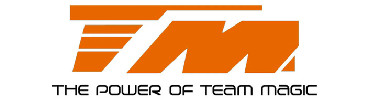 team_magic_logo